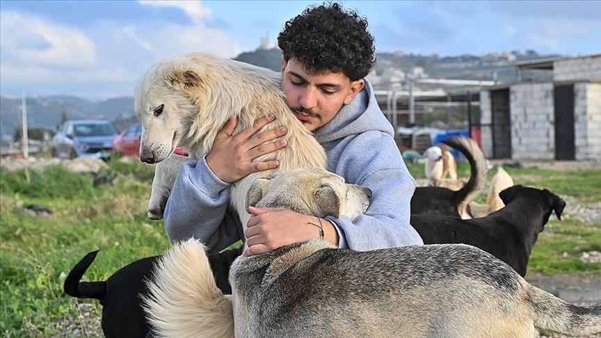 Млад Либанец спасува напуштени животни во областите под израелски напади