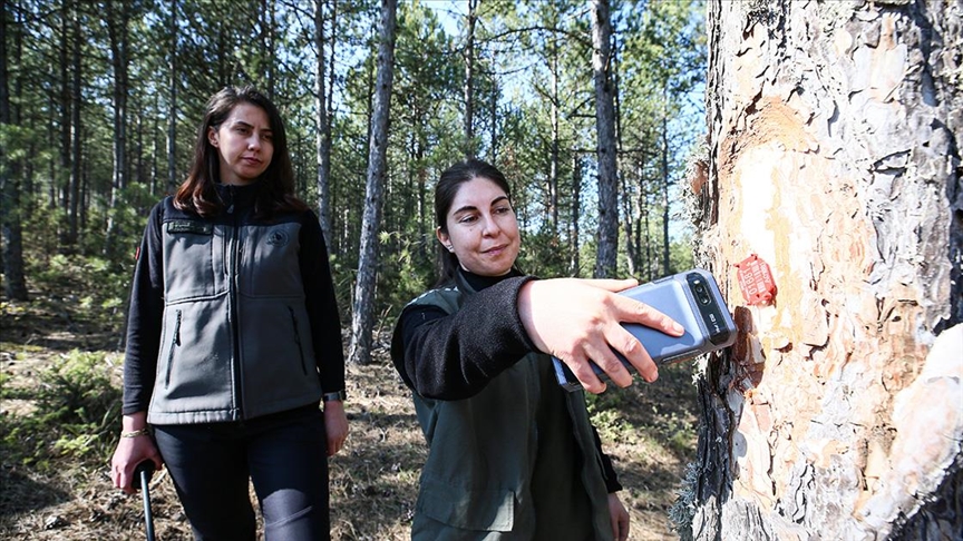 "Türkiye'nin akciğerleri" kadın ormancılara emanet