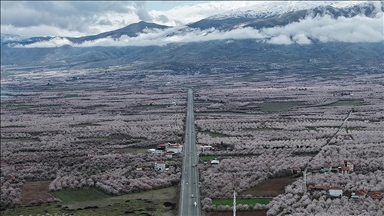 "Dünya kayısı başkenti" Malatya beyaz gelinliğini giydi