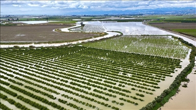 Mersin'de sağanak nedeniyle tarım arazileri su altında kaldı