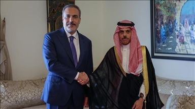 وزير الخارجية التركي ونظيره السعودي يبحثان جهود "إنهاء الحرب" بالمنطقة