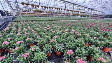 Süs bitkileri üreticilerinden kurakçıl peyzajda "sözleşmeli üretim modeli" talebi
