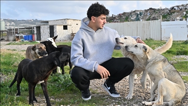 I riu libanez shpëton "kafshët e braktisura" në zonat e sulmuara nga Izraeli