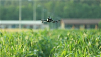 Malajzia prezanton mjete të inteligjencës artificiale për të nxitur bujqësinë