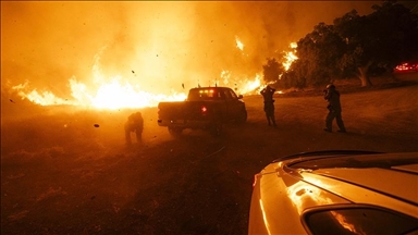 В Небраске из-за лесных пожаров выгорело 324 тыс. гектаров