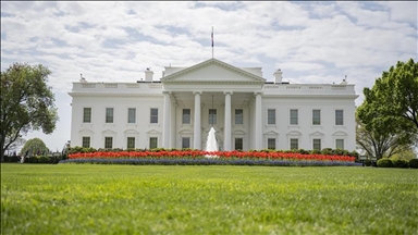 СМИ: Администрация США рассматривает спикера парламента Ирана Галибафа как «потенциального лидера»