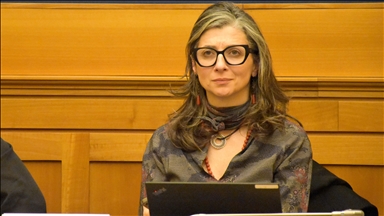 UN rapporteur says Palestinians cannot be saved without 'massive intervention' to stop Israel