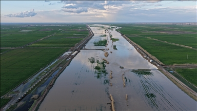 Suriye'nin Rakka vilayetinde aşırı yağışlar nedeniyle nehrin taşması sonucu araziler su altında kaldı