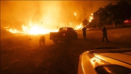 В Небраске из-за лесных пожаров выгорело 324 тыс. гектаров