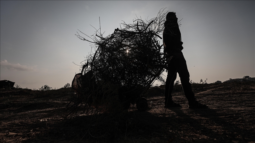 Türkiye's unemployment in 2025 down to 8.3%, its lowest level in 21 years