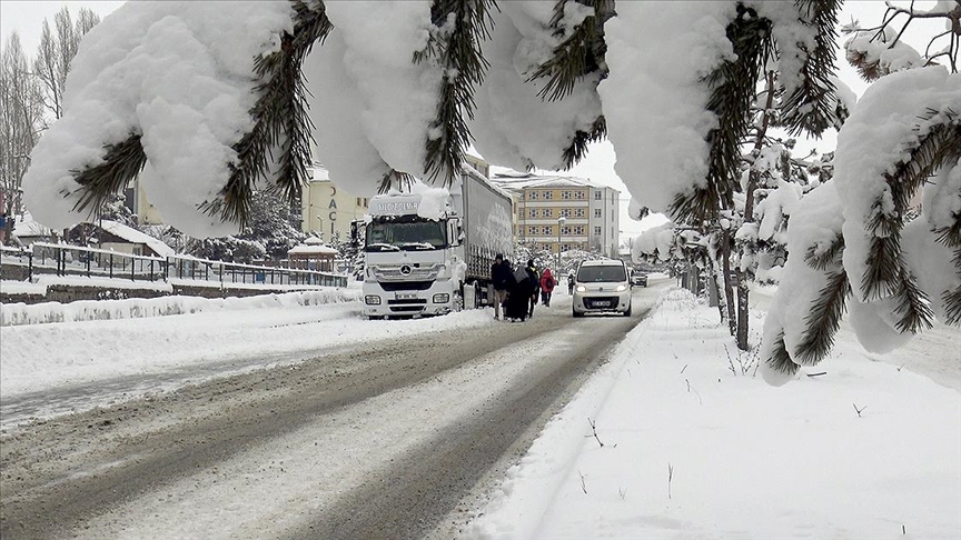 Ardahan ve Kars'ta kar etkili oldu