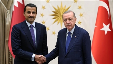 الرئيس أردوغان يبحث مع أمير قطر آخر التطورات في المنطقة