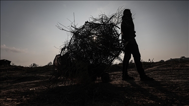 Türkiye's unemployment in 2025 down to 8.3%, its lowest level in 21 years