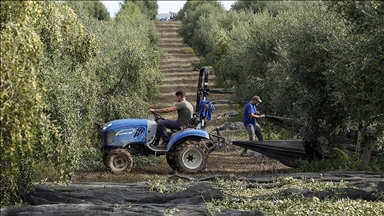 İspanya, Orta Doğu'daki çatışmaların etkilerine tedbir olarak tarım ve hayvancılığı destekleyecek