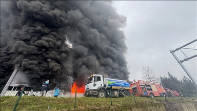 Trabzon'da fındık fabrikasının deposunda çıkan yangına müdahale ediliyor