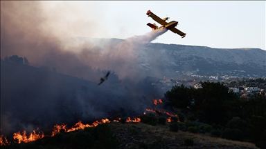 AB'den artan orman yangınlarıyla mücadele için yeni strateji