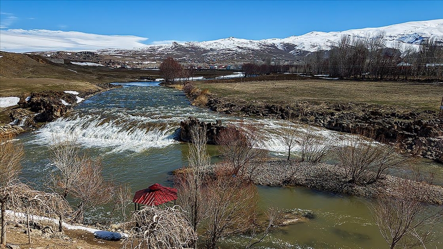 Artan yağışlar "Van Gölü'nün incileri"nin üreme dönemini sorunsuz geçirmesini sağlayacak