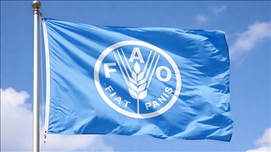 BM Gıda ve Tarım Örgütünden "İran'da çatışmalar dursa bile etkisinin 2-3 ay sürebileceği" uyarısı