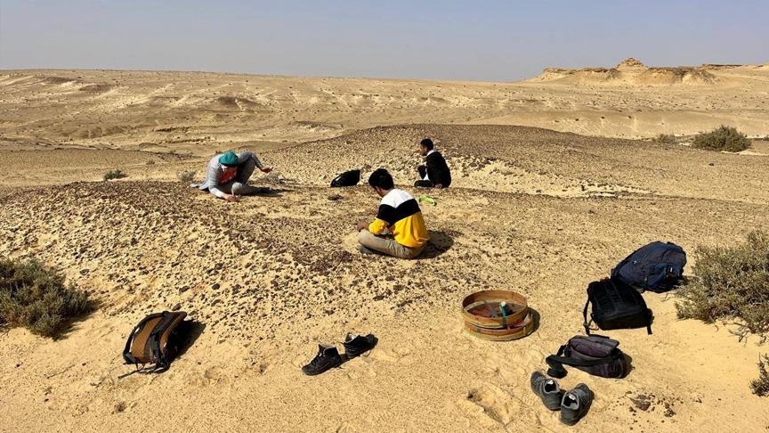 مصر تكشف عن إنجاز علمي يعيد رسم خارطة تطور "القردة العليا"