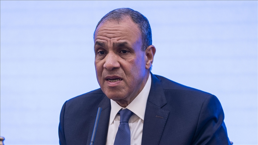 مصر تبحث مع تركيا وباكستان جهود خفض التصعيد بالمنطقة