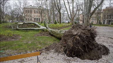 Hırvatistan'ın başkenti Zagreb'de şiddetli fırtına nedeniyle okullar tatil edildi
