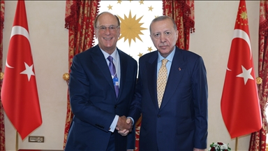 Президент Эрдоган принял председателя Всемирного экономического форума Лоуренса Дугласа Финка