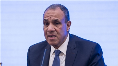 مصر تبحث مع تركيا وباكستان جهود خفض التصعيد بالمنطقة