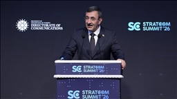 Вице- президент Турции: международная система переживает кризис легитимности