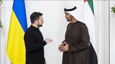 Ukraine, UAE presidents agree on defense cooperation