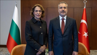 Глава МИД Турции встретился в Стамбуле с болгарским коллегой 