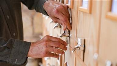 Anadolu'nun zeytinyağı mirası İzmir'deki "tadım kütüphanesinde" buluştu