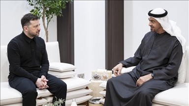 Зеленский обсудил с президентом ОАЭ безопасность, удары Ирана и ситуацию в Ормузском проливе