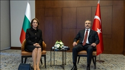 دیدار وزیران خارجه ترکیه و بلغارستان استانبول