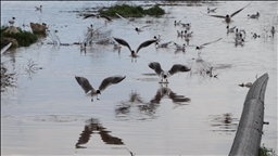Çekerek Sürayyabey Barajı'nda iki kat artan doluluk çiftçileri ve balıkçıları mutlu etti