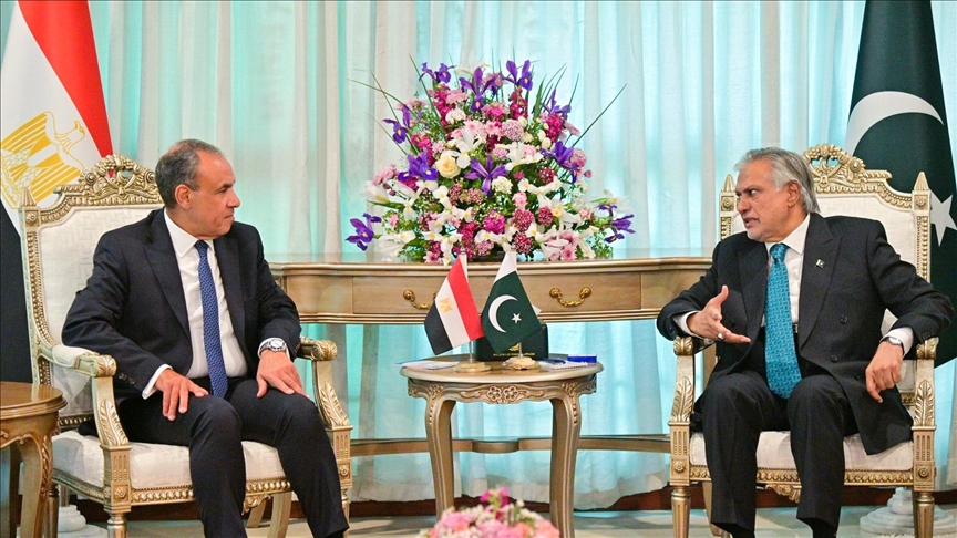 وزيرا خارجية مصر وباكستان يبحثان تعزيز العلاقات والتطورات الإقليمية