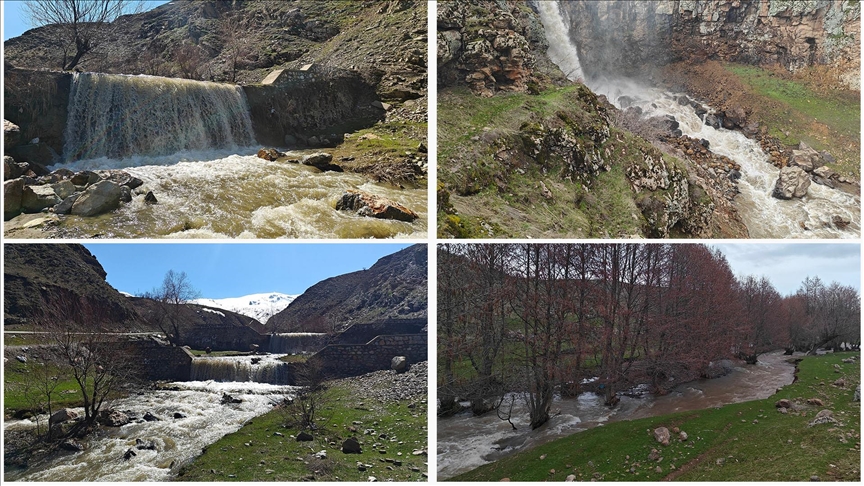 Li Mûşê sûlav bi coştir diherikin