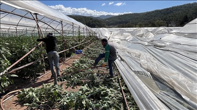 Antalya'da etkili olan hortum bazı seralara zarar verdi