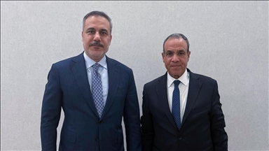 Dışişleri Bakanı Fidan, İslamabad'da Mısırlı mevkidaşı Abdulati ile görüştü 
