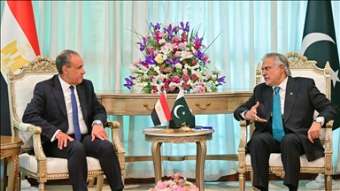 وزيرا خارجية مصر وباكستان يبحثان تعزيز العلاقات والتطورات الإقليمية