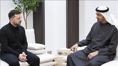 رئيسا الإمارات وأوكرانيا يبحثان تداعيات التصعيد العسكري بالمنطقة