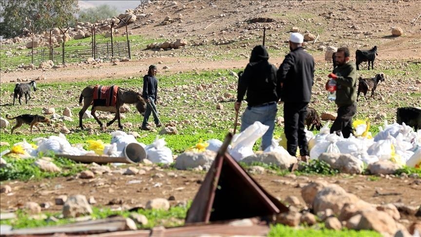مستوطنون إسرائيليون يحرقون مركبتين ويسرقون أغنام فلسطينيين بالضفة