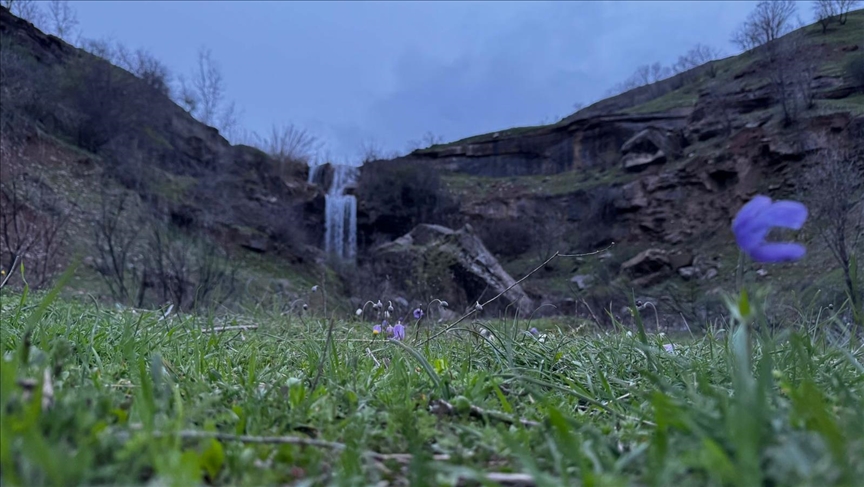 تاڤگەیەکی ئەفسوناوی دیمەنێکی تری جوانییەکانی دێرەلووک دەخاتە ڕوو