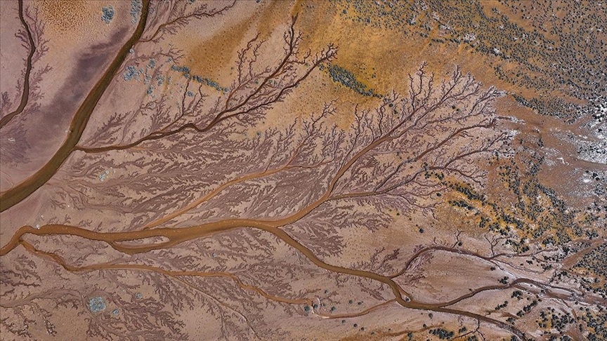 Tuzla Palas Gölü'nü besleyen suların oluşturduğu izler ağaç dallarını andırıyor