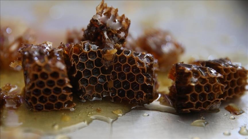 Турција, вториот најголем производител на мед во светот, ќе биде домаќин на „Олимпијадата во пчеларството“ во 2027