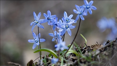 Li Tunceliyê piştî ku berf heliya, li Geliyê Îksorê berfînên şîn vebûn