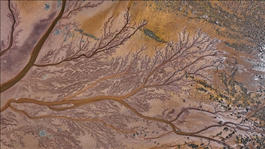 Tuzla Palas Gölü'nü besleyen suların oluşturduğu izler ağaç dallarını andırıyor