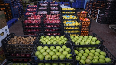 Hal işlemlerinde çifte fatura ve düşük fiyat bildirimiyle vergi kaybı tespit edildi