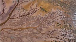 Tuzla Palas Gölü'nü besleyen suların oluşturduğu izler ağaç dallarını andırıyor