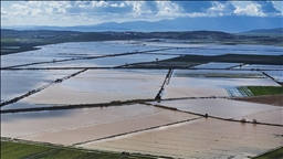 Tarım sezonunun ilk 5 ayında yağışlar geçen yıla göre yüzde 75 arttı