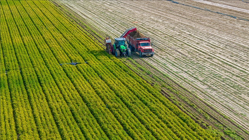 Agricultural commodity prices surge due to Middle East tensions